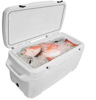 fishing tank.jpg