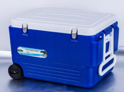 80L.jpg