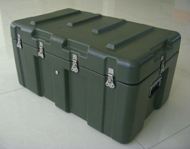 Carring Case