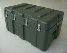 Carring Case