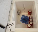 PE Material Multifunction Cooler Box