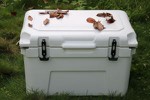 Plastic Ice Box For Hot Sale